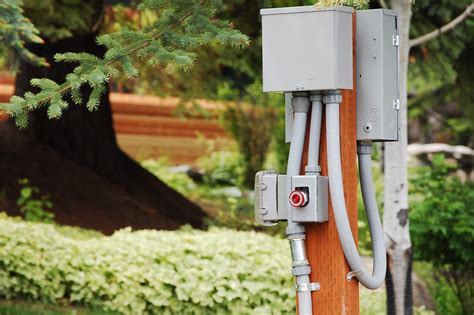 electricity box near trees|plants around an electrical box.